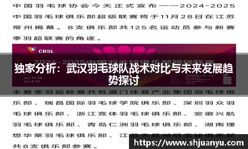 独家分析：武汉羽毛球队战术对比与未来发展趋势探讨