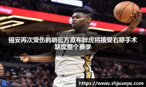 锡安再次受伤鹈鹕官方宣布胖虎将接受右膝手术缺席整个赛季