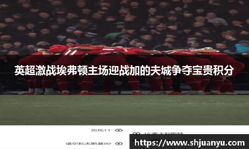 英超激战埃弗顿主场迎战加的夫城争夺宝贵积分